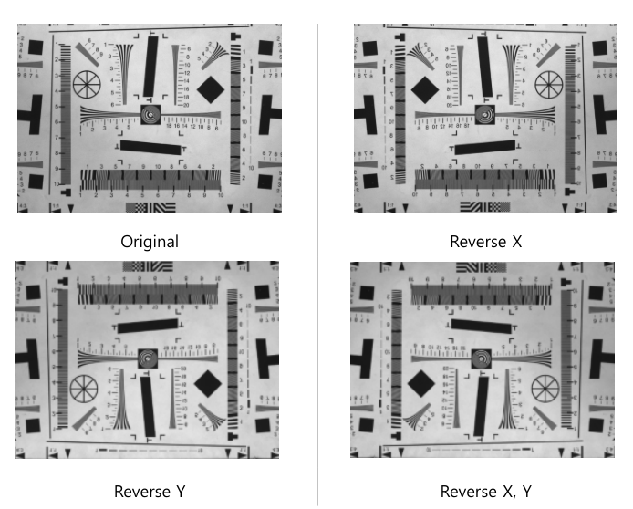 < Figure 4 – Reverse Image >