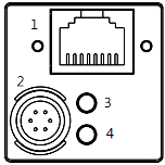 Back panel