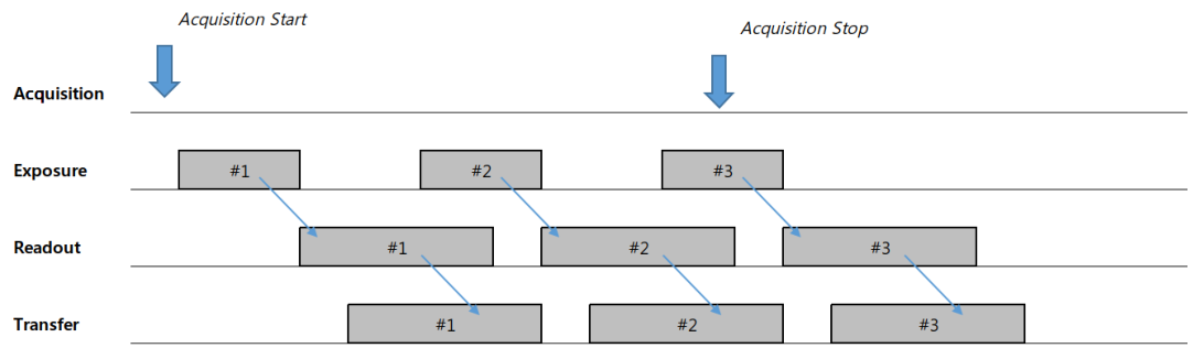 SCU PDF page 21 visual